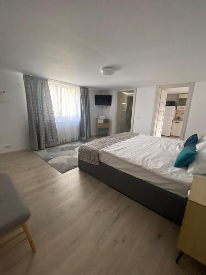 Garsonierele Scandinav